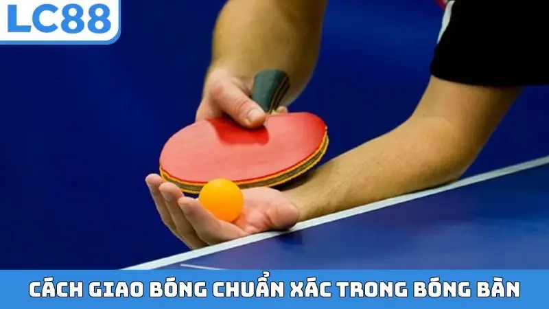 Cách giao bóng chuẩn xác trong bóng bàn